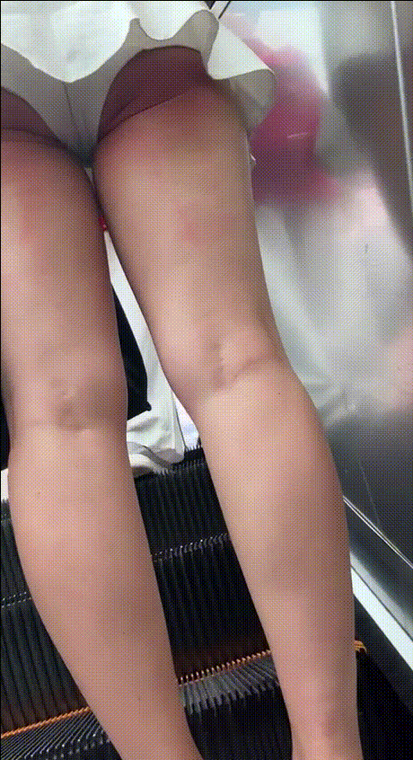 0cfdff5a49299b5d9f9fb99fe7dc953b_1730353701_3428.gif