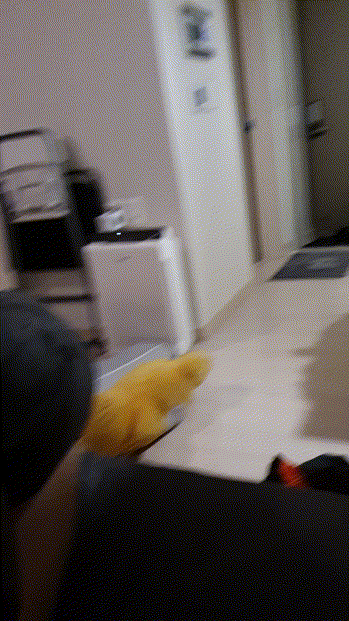 4911d35602242d07f8590e919f1f9bce_1730350918_7607.gif