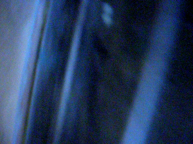 7fa3ed468deea0006b1ed125d2a45158_1730374864_7953.gif