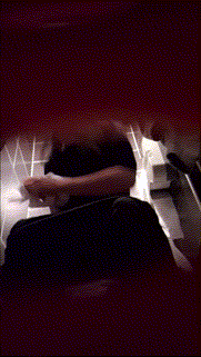 82efe532f2af44ca30ec6d8785293c49_1730357306_8188.gif