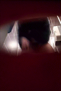 82efe532f2af44ca30ec6d8785293c49_1730357307_7143.gif