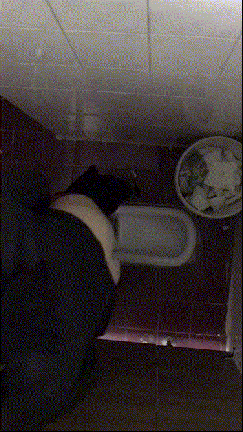 82efe532f2af44ca30ec6d8785293c49_1730357612_0947.gif