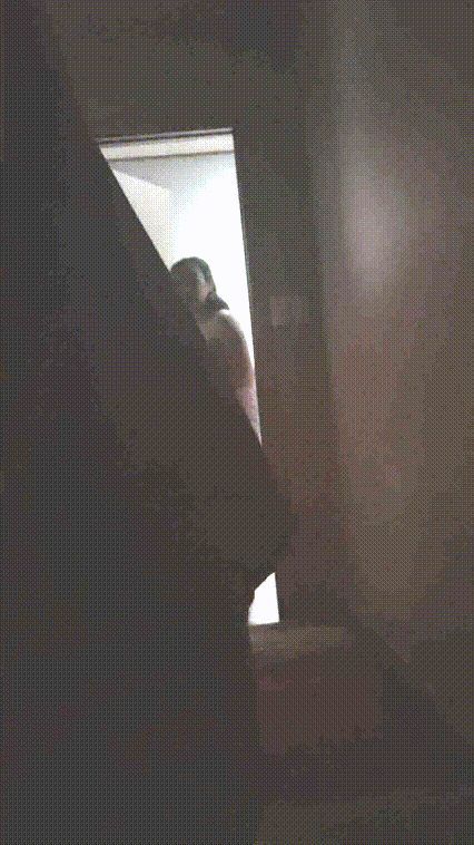 edbdf9c2b4d8d79d5d5b38646f81e483_1730265610_5436.gif