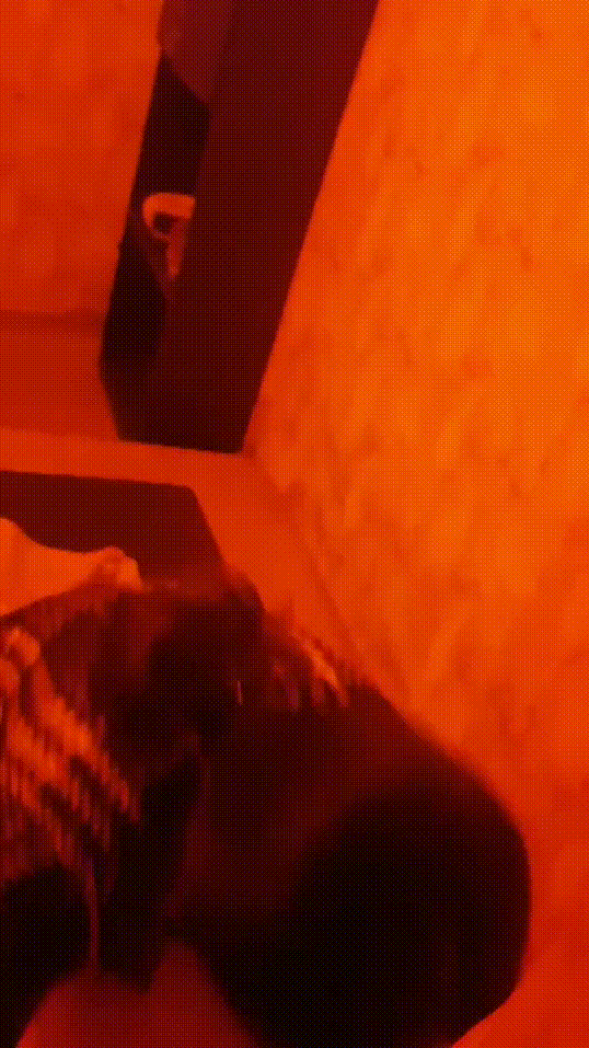 edbdf9c2b4d8d79d5d5b38646f81e483_1730271485_8631.gif