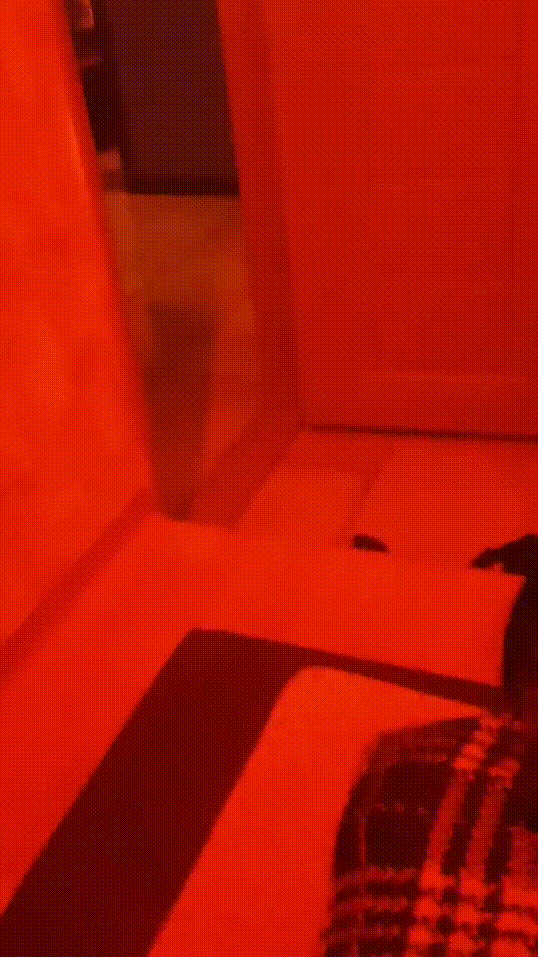 edbdf9c2b4d8d79d5d5b38646f81e483_1730271497_3125.gif
