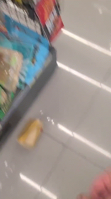 f1d3252d35236ed853c34e2de6018dba_1730360020_0339.gif