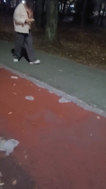 f1d3252d35236ed853c34e2de6018dba_1730360024_0936.gif