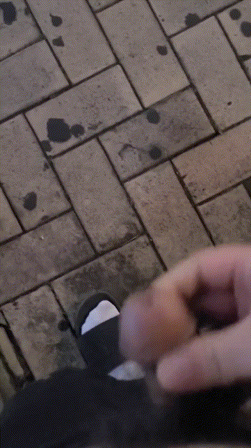 f1d3252d35236ed853c34e2de6018dba_1730360025_873.gif