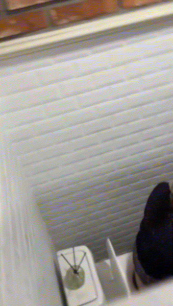 f1d3252d35236ed853c34e2de6018dba_1730360617_4786.gif