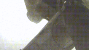 5370432d82323a37c7a3e5ae75dfe6d7_1730355827_927.gif