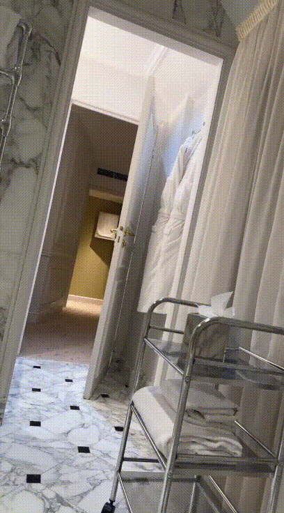 025f7a83f614179ff5605588181553d6_1731243661_3481.gif