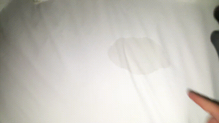 1620d0b60446e5714975169d51b307d2_1732792335_7412.gif