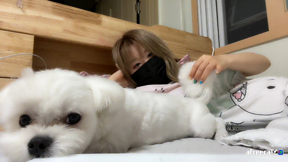 1a7d73680b8c879ad408583160e29ab5_1730970047_0726.gif