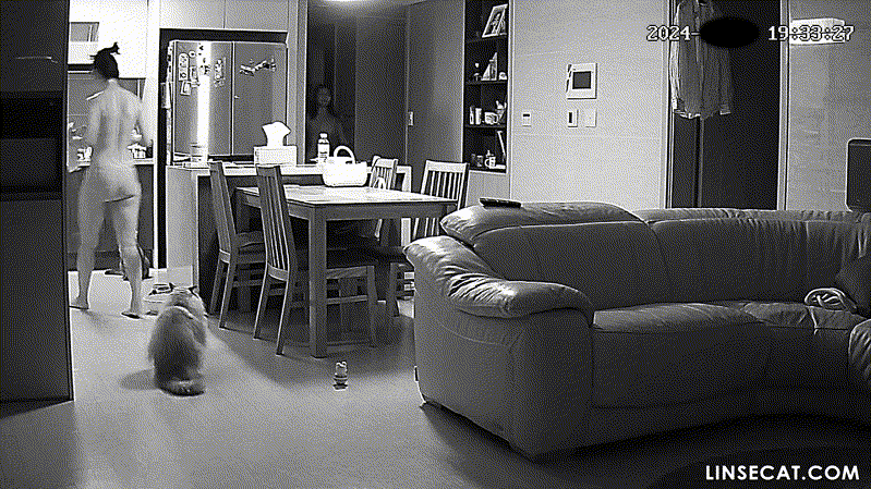 1bc68a00c40b2c1d6068b63af9c80bc7_1732184601_2094.gif