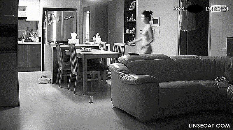 1bc68a00c40b2c1d6068b63af9c80bc7_1732184607_5746.gif