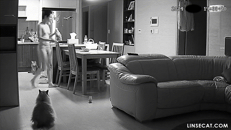 1bc68a00c40b2c1d6068b63af9c80bc7_1732184624_3523.gif