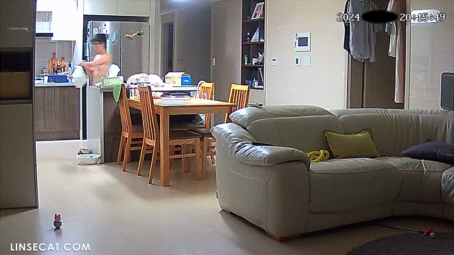 1bc68a00c40b2c1d6068b63af9c80bc7_1732185009_0289.gif