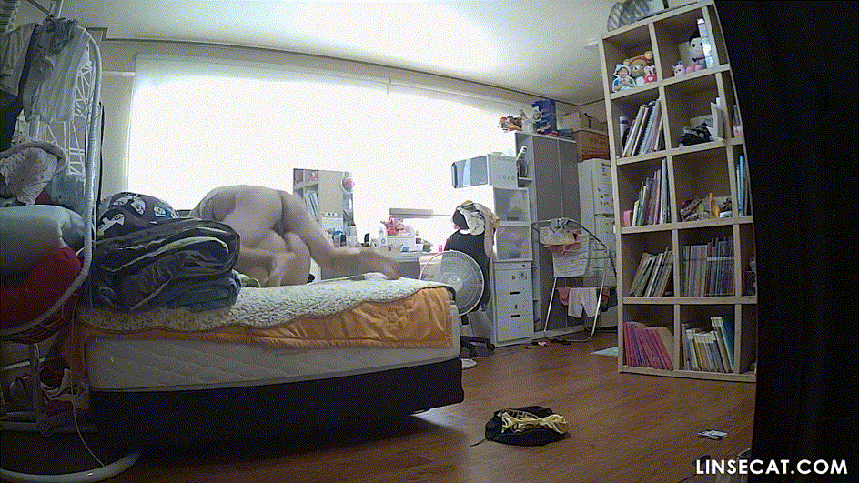 1bebc26d1480952facaa7384d24661ce_1730451200_527.gif