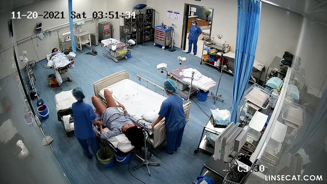 1d762f03619797a7df203931ea85c39a_1730440671_0073.gif