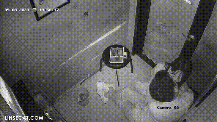 1d762f03619797a7df203931ea85c39a_1730453187_2877.gif