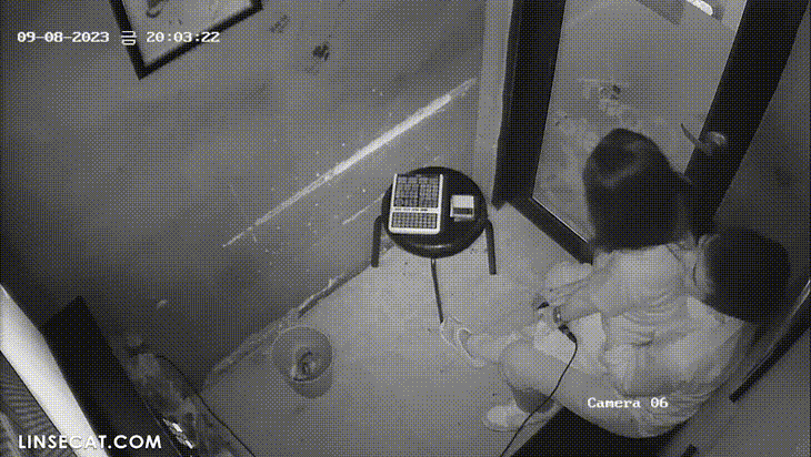 1d762f03619797a7df203931ea85c39a_1730453188_8933.gif
