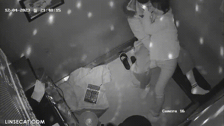 1d762f03619797a7df203931ea85c39a_1730453201_3631.gif