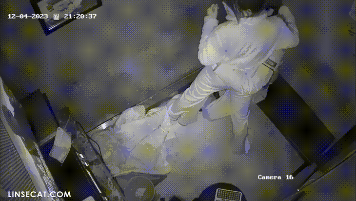 1d762f03619797a7df203931ea85c39a_1730453201_9928.gif