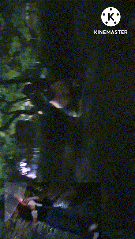 1e6e710ab2523cfa57ce88047c257d27_1730719353_5427.gif