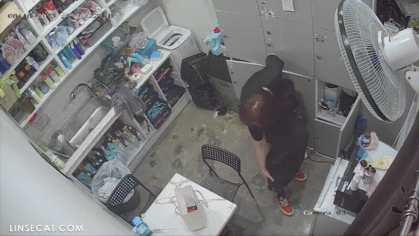 26130a475f0d145c829ee854390955ed_1730656301_253.gif