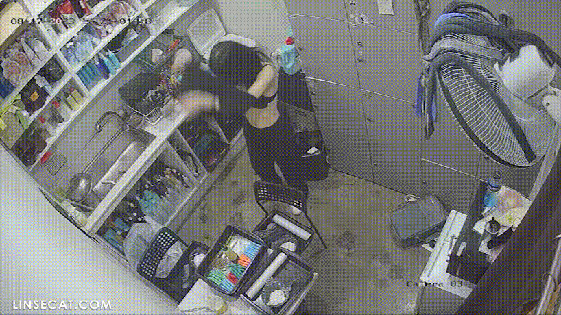 26130a475f0d145c829ee854390955ed_1730656301_8863.gif