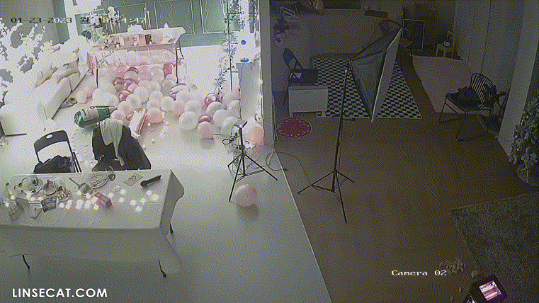 274711375f64702946a1b8bf6c928014_1730454257_4925.gif