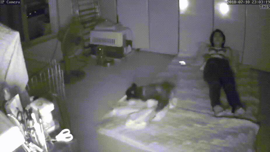289b4cf518c95e581e53a54c20d0aa2b_1730404143_7484.gif