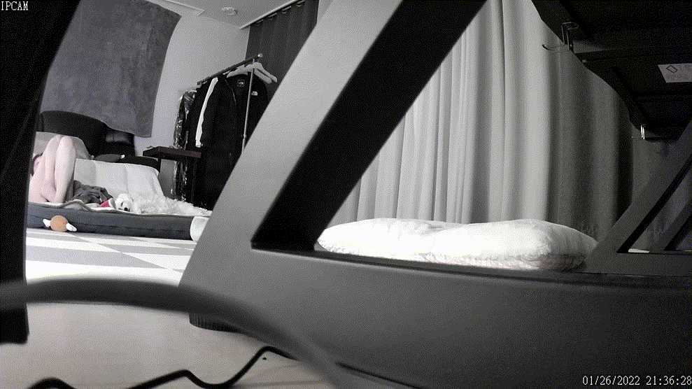 289b4cf518c95e581e53a54c20d0aa2b_1730407074_9023.gif