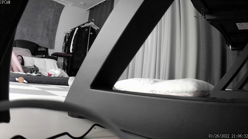 289b4cf518c95e581e53a54c20d0aa2b_1730407085_5798.gif