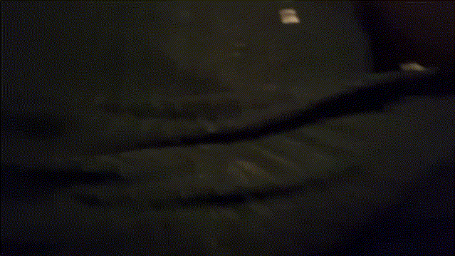 32f3a4f611f98eb78f2c6d95e8a5538d_1731327091_3818.gif