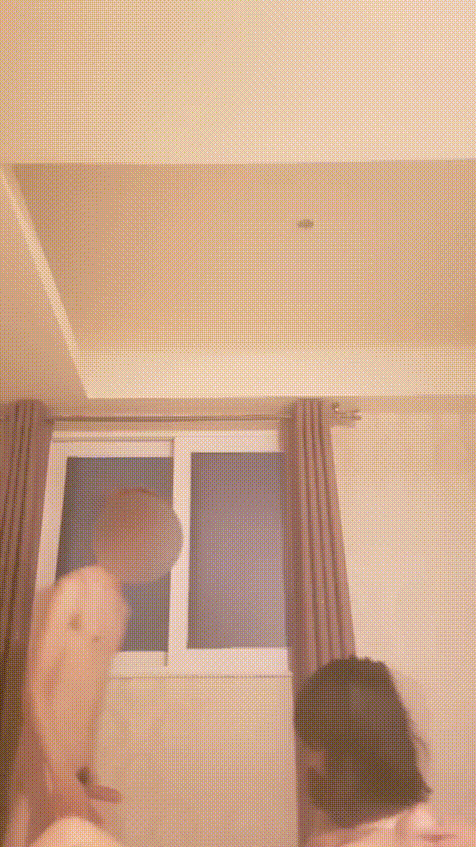 3365072b04f9e52446a75884c207afdf_1732083098_3927.gif