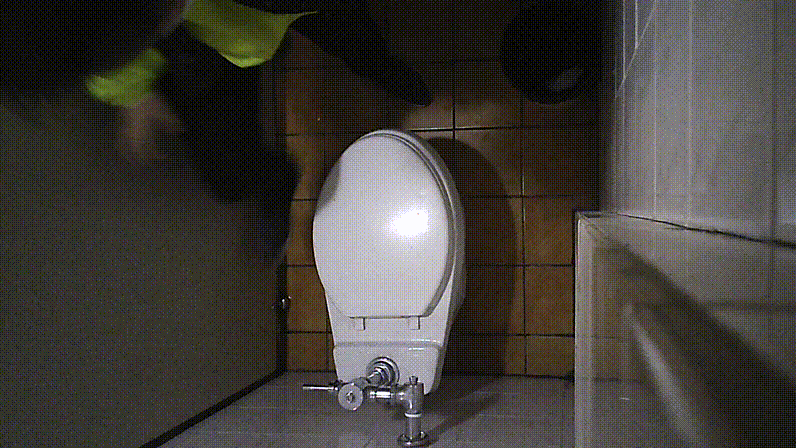 339d8aa586894bc8e3582e684d7eb00c_1730812989_6944.gif