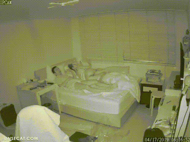 37af4ebbc0839442ed1a80adbbf25268_1732364476_828.gif