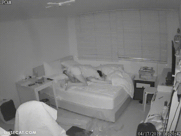 37af4ebbc0839442ed1a80adbbf25268_1732364477_1806.gif