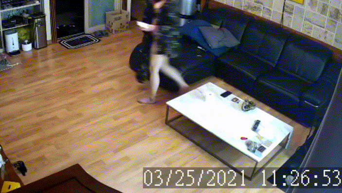 3878c75f7ae0af3416dfdb5fc854822a_1730452912_803.gif