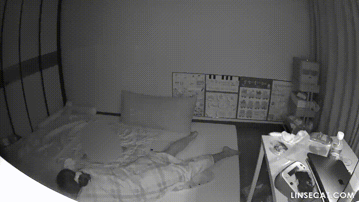 3c1d2bb7092838c1a5e9a73423901bf7_1732693720_3961.gif