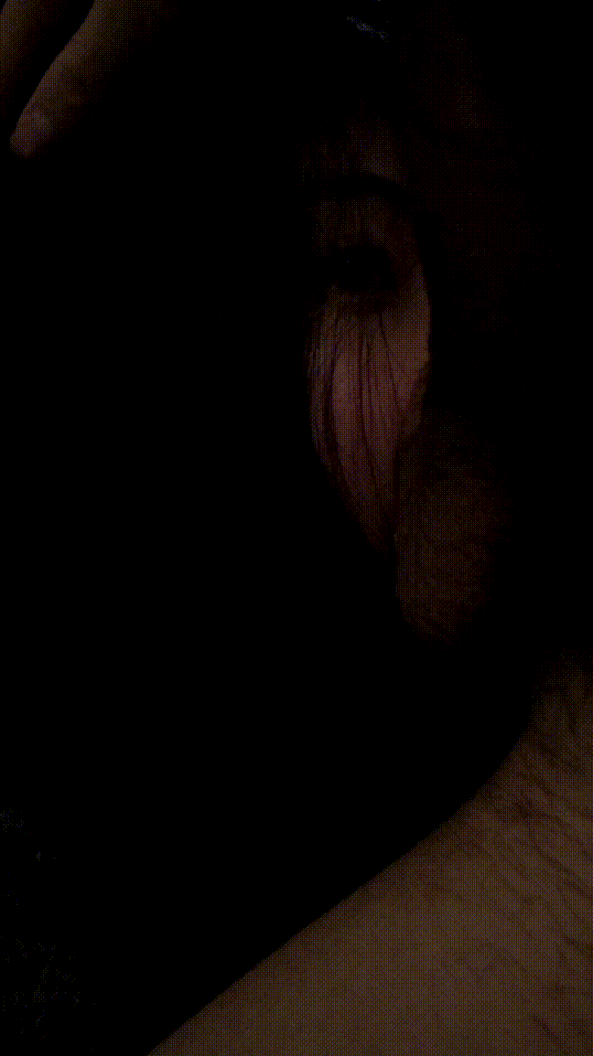 4fa6802d9fc051755aa35c98e2ed4306_1732506537_4398.gif