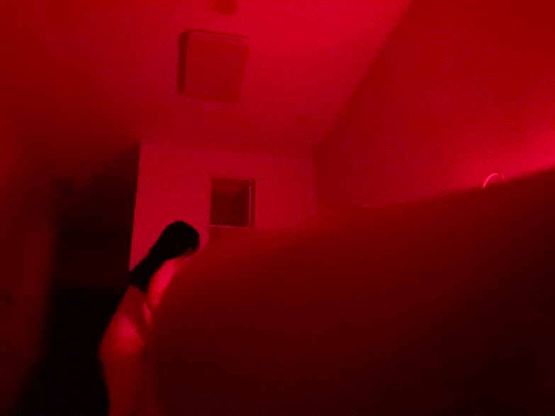 4ff032c9addfd748d9efeb477737151e_1732523879_339.gif