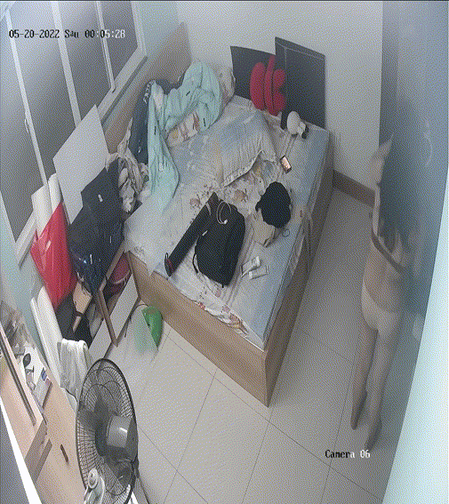 5216bb90b88c288661f2fa3109889eb8_1730656165_1083.gif