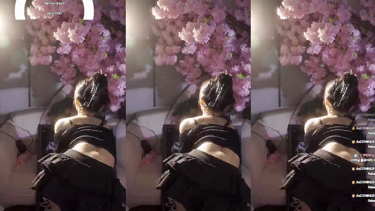52b87417e06067e6fcd18e2aa0ad72bf_1731340539_5439.gif