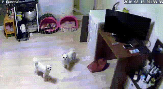 53067d4399e2f277ed684de22614cecd_1730393537_2319.gif