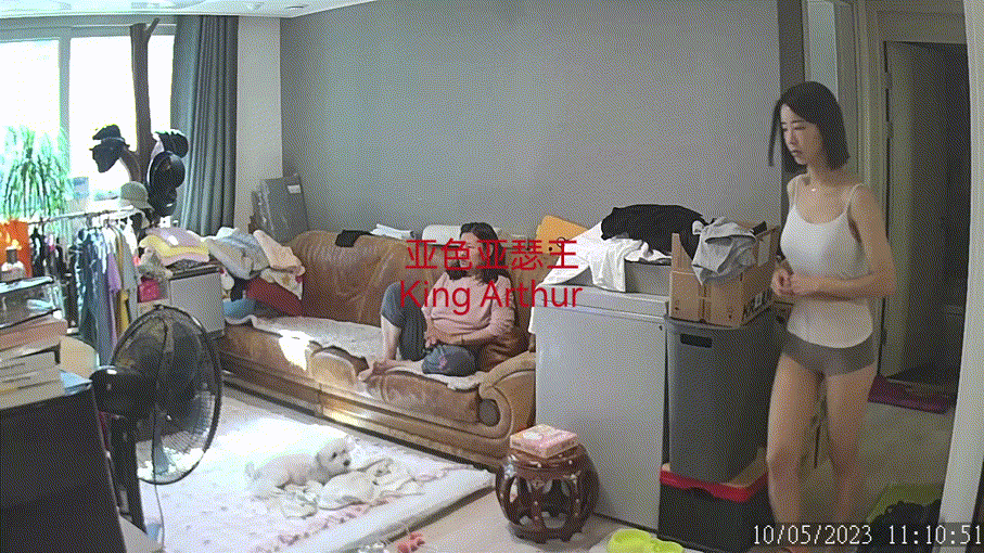 540a49161e41fcecf772a5bc282ea2be_1730437610_7651.gif