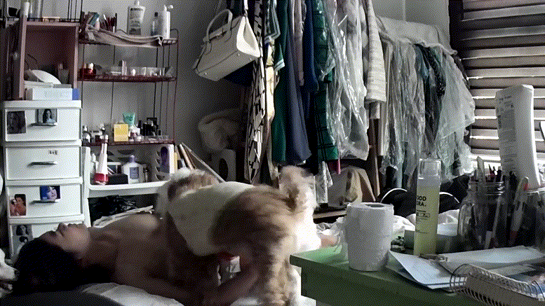 56fbcf99e178c41d791105eaeb82f5dc_1730388701_4405.gif
