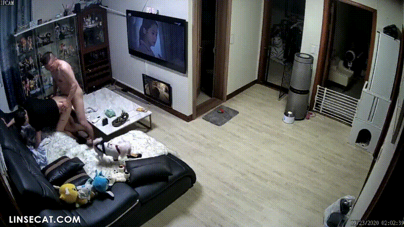 5a7457a6d48c985551d0bda5d02064ef_1730656566_848.gif