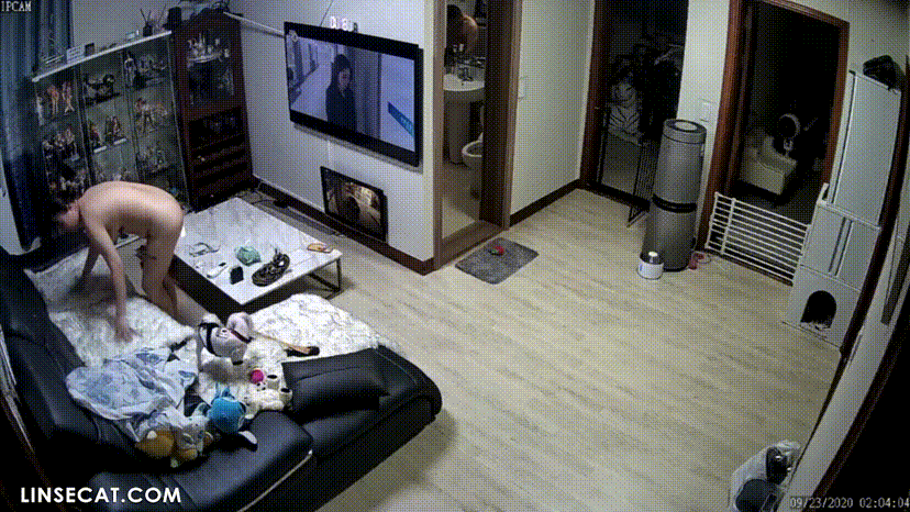 5a7457a6d48c985551d0bda5d02064ef_1730656569_0491.gif